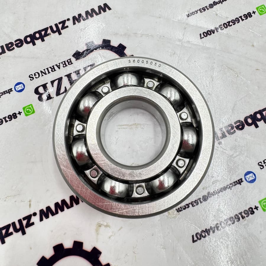 Swing Motor Bearing S6005050